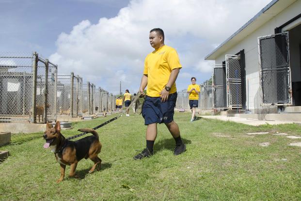 Sailors assigned to the submarine tender USS Frank Cable (AS 40), participate in a community relations event at Guam Animals in Need shelter in Yigo on Feb. 9, 2018. (U.S. Navy photo by Mass Communication Specialist 3rd Class Heather C. Wamsle)