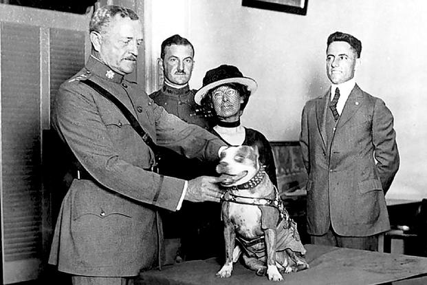 Gen. John Pershing awards Sgt. Stubby with a gold medal in 1921. Stubby served in 17 battles and fought in four major Allied offensives during World War I. (Photo courtesy of Smithsonian Institution’s National Museum of American History)