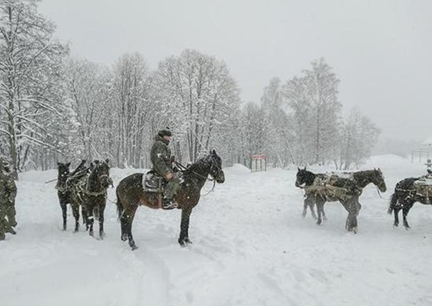 Pack and transport platoon of the Russian army. Southern Military District. Ministry of Defense of Russia (Wikimedia Commons).