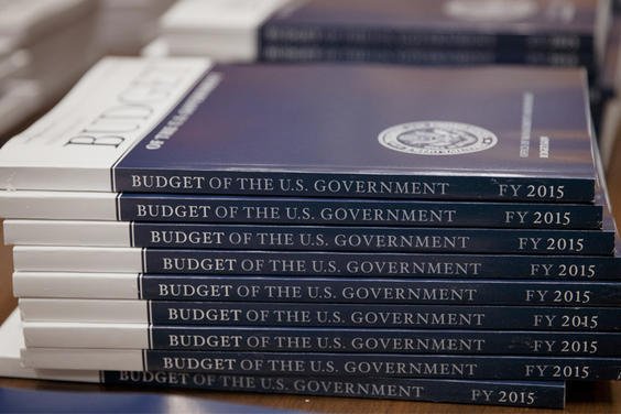Government budget books for 2015.