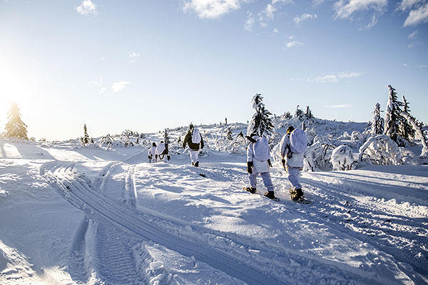 Allied soldiers cross-country ski under winter conditions with Norwegian equipment, Jan. 19, 2016. (Norwegian Army photo by Olav Standal Tangen)