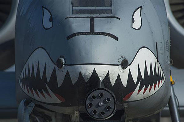 The nose of an A-10 Thunderbolt II displays a painted set of eyes and teeth over the aircraft’s 30-mm GAU-8 Avenger rotary cannon during the 74th Expeditionary Fighter Squadron’s deployment to Graf Ignatievo, Bulgaria, March 18, 2016. Air Force photo