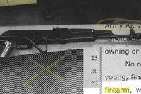 Photo illustration shows images of stolen guns.