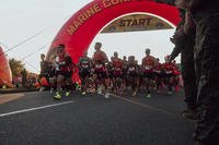 Washington, D.C. (Oct. 27, 2024) - Participants take part in the 49th Marine Corps Marathon (U.S. Marine Corps photo by Staff Sergeant Kyle McNan)