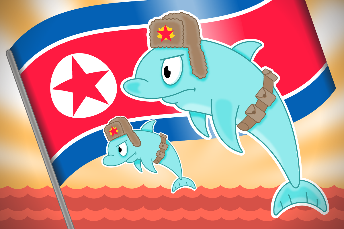 North Korea May Have Its Own Corps Of Communist Killer Dolphins Military Com - colori brawl stars o sinau do brawl stars