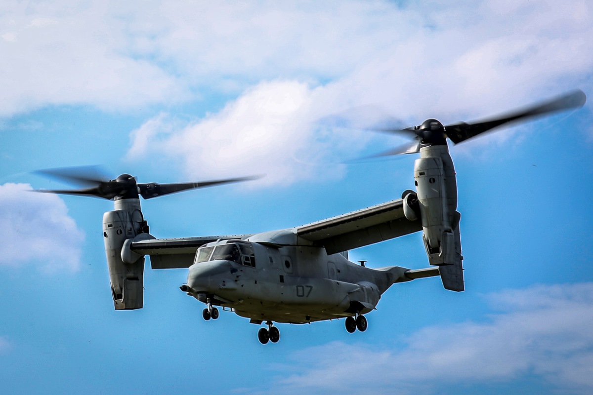 marine osprey