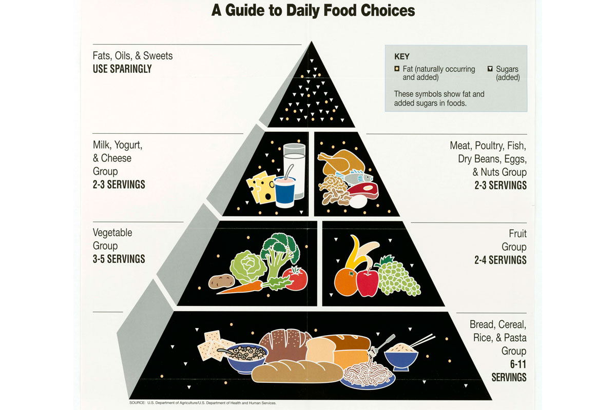 food pyramid image