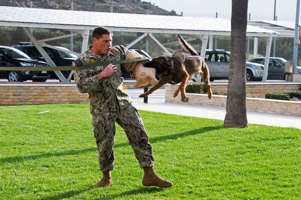 13 photos of military working dogs being awesome navy dog handlers