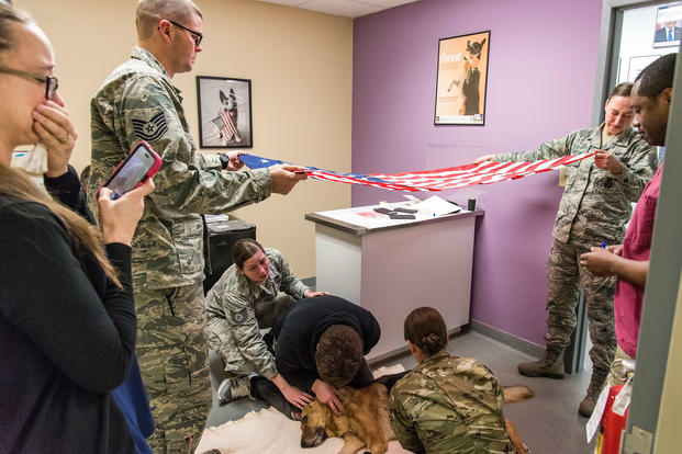 Tech. Sgt. Matthew Salter, 436th Security Forces Squadron military working dog kennel master, and Staff Sgt. Ashley Beattie, 436th SFS unit deployment manager, hold the U.S. flag over retired Military Working Dog Rico. (U.S. Air Force/Roland Balik)