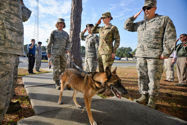 Tyndall Airmen provide a final salute to retired U.S. Air Force Military Working Dog, Mica T204, at the end of her final patrol Nov. 14, 2016 at Tyndall Air Force Base. Mica provided over 4,500 hours of counter-explosive operations and installation protection for more than 45 air assets and 7,000 military, civilian, and retired personnel. (U.S. Air Force/Javier Cruz)