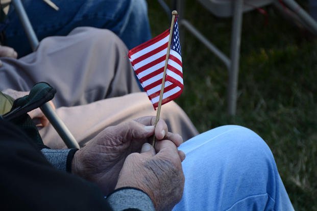 A spectator at the Leonardtown Veterans Day Parade holds a small American flag after the parade in downtown Leonardtown, Maryland, Nov. 11, 2016.