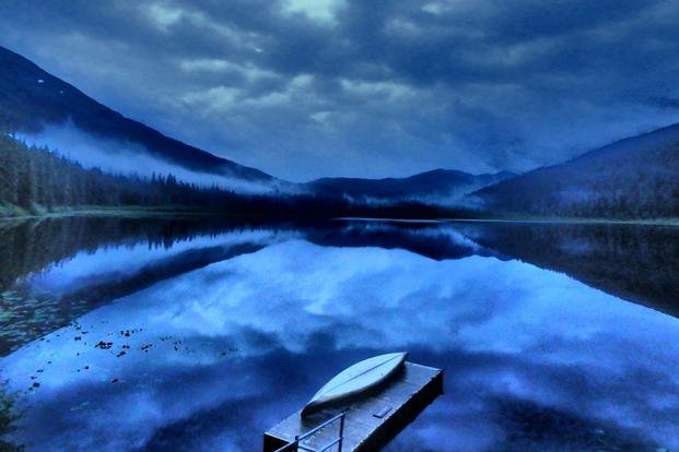 Tongass National Forest at Night