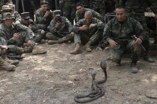 A Royal Thai Marine shows how to handle king cobras during exercise Cobra Gold 2020.