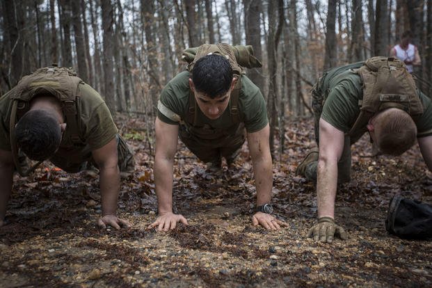 Marines take part in force fitness instructor course