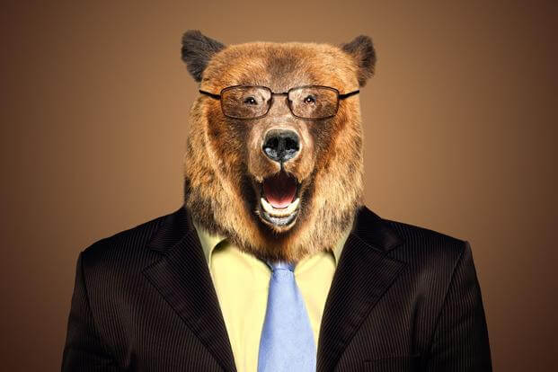 recruiter grizzly bear with blue tie 