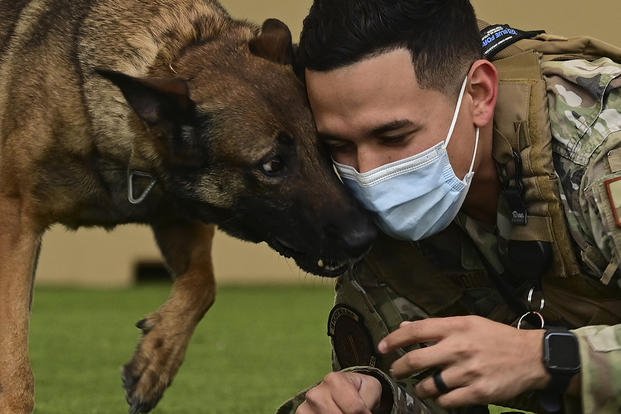 Air Force Senior Airman Armando Mendiola and military working dog Ootter perform a demonstration at Davis-Monthan Air Force Base, Ariz.