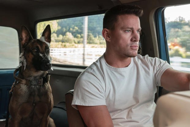 Channing Tatum drives a truck as Lulu the dog watches in "Dog."