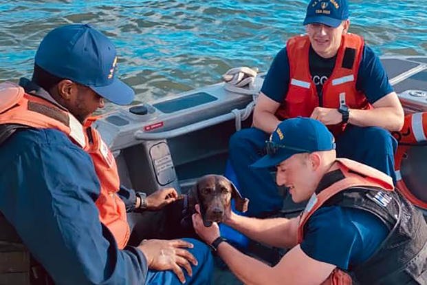 A dog lost overboard in Pamlico Sound in North Carolina was rescued by a U.S. Coast Guard crew