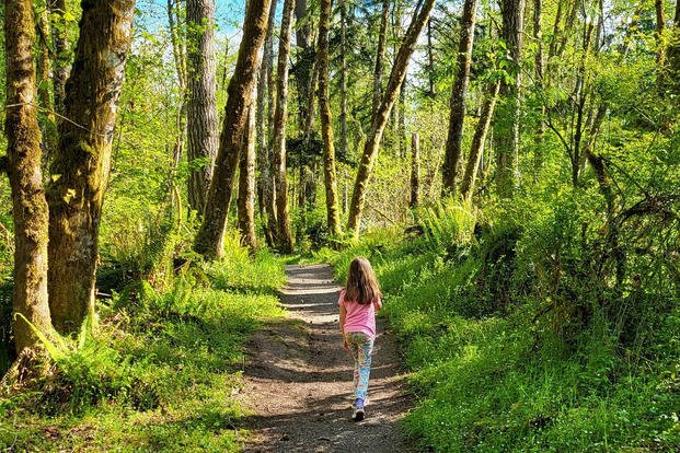 Walking in natural settings can help you strike a better work-life balance.