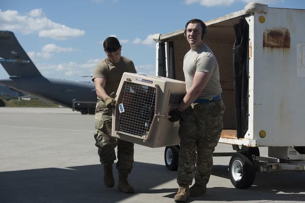 Two airmen carry a heavy dog crate between them.