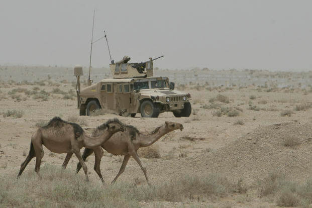 A Humvee with Marines from 1st Squad, 2nd Platoon, Bravo Company, 1st Battalion, 9th Marines, Regimental Combat Team 1, provides security while camels walk by during Operation Bonneville Flats in the desert southwest of Lake Habbaniyah, Iraq.