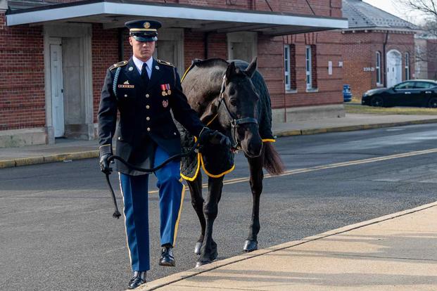 Arlington Horse-Drawn Funerals to Remain Suspended as Families Grapple with Burial Arrangements