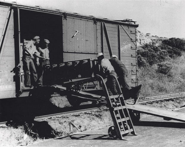 African American sailors unloading aerial bombs in Port Chicago, Calif.