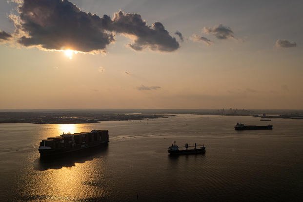 A container ship passes bulk carriers as it leaves the Port of Baltimore.