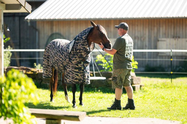 Bundeswehr captain, brushes a horse in a paddock at the Silberburg Ranch