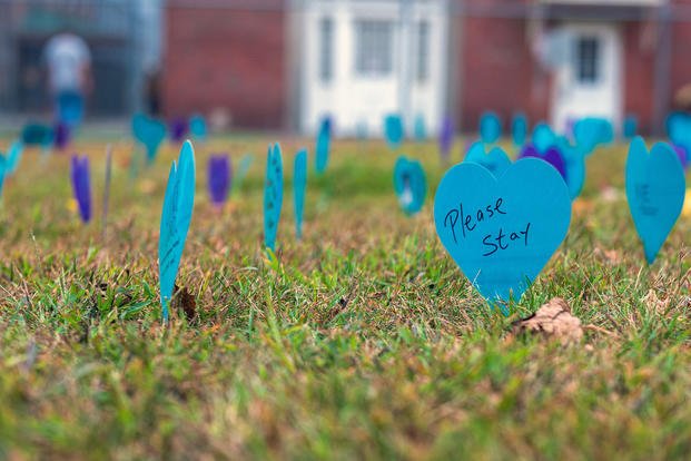 Suicide awareness and prevention walk