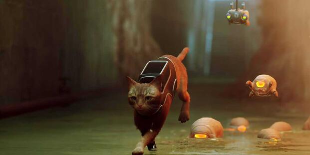 Stray Running from Enemies