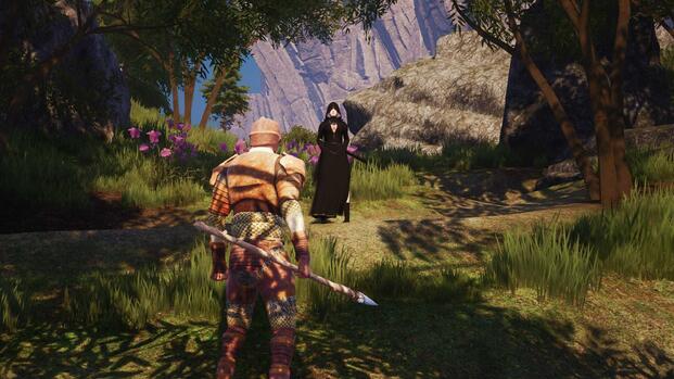 Endalor Player And NPC