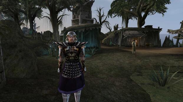 The Elder Scrolls 3 Morrowind (6)