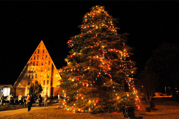 Christmas Tree at Robins AFB
