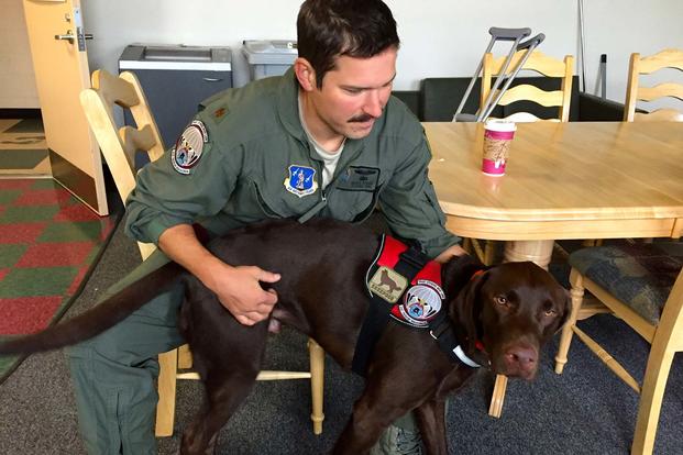 TOML leans against handler Air Guard Maj. Brock Roden. TOML is a chocolate lab service dog with the Alaska Air National Guard 212 Rescue Squadron, is believed to be the first of his kind in the U.S. military. (Amy Bushatz/Military.com)