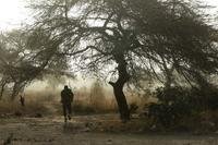 A Niger Army patrol leader moves during small unit tactics training as part of Exercise Flintlock 2017 in Diffa, Niger, March 3, 2017. (U.S. Army Photo/Christopher C. Klutts)