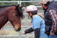 A woman veteran works with a horse.