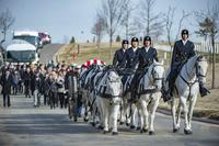 Military funeral honors at Arlington National Cemetery.