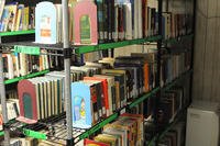 shelves of library books