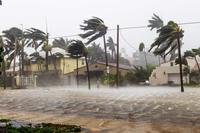 View of flooded street and windblown palm trees in hurricane