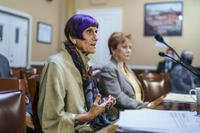 House Appropriations Committee Chair Rosa DeLauro