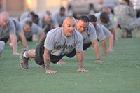 A sergeant performs a push-up during physical training.