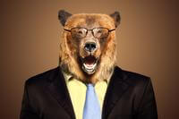 recruiter grizzly bear with blue tie