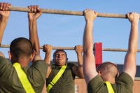 Marine recruits do pull-ups during physical training.