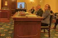 Caregivers and advocates watch Sarah Verardo, CEO of The Independence Fund, testify.