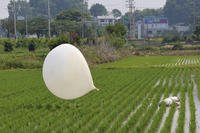 A balloon presumably sent by North Korea, is seen in a paddy field in Incheon, South Korea.