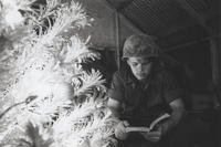 Cpl. Larry G. Nabb finds a moment of peace in front of a decorated Christmas tree in December 1968 at Quang Tri Combat Base, Vietnam.