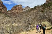 Hikers walk along Grotto Trail at Zion National Park
