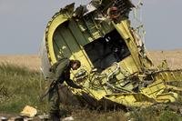 A pro-Russian rebel touches the MH17 wreckage at the crash site of Malaysia Airlines Flight 17