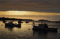 A lobsterman unties his boat before heading out to fish in Jonesport, Maine